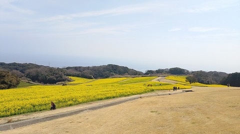 KIMG20260324_115719490