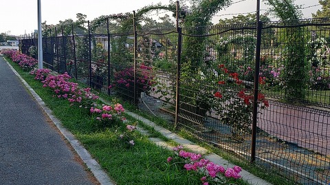 KIMG20260519_061325252