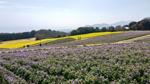 KIMG20260324_120006082