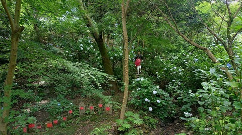 KIMG20260618_101548652