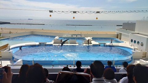 KIMG20251008_110046899