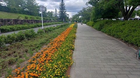 KIMG20260618_114558900
