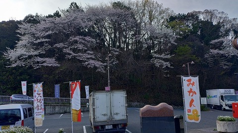 KIMG20260403_071306639