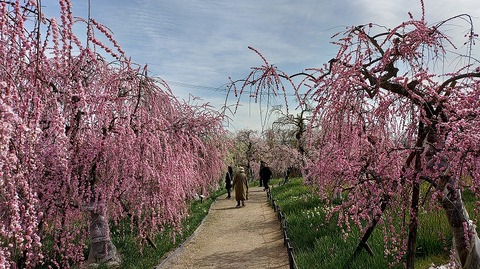 KIMG20260224_123654300