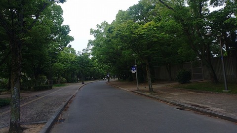 KIMG20260616_061959898