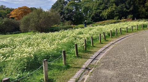 KIMG20251112_110940953