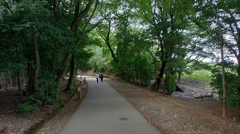 KIMG20250917_114206135