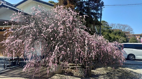 KIMG20260222_114756365