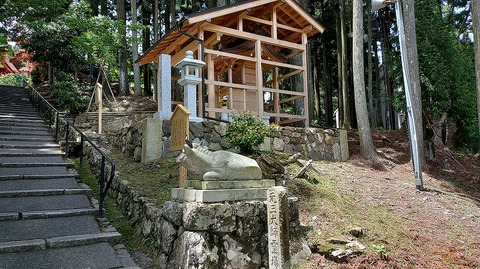 KIMG20260526_120903035