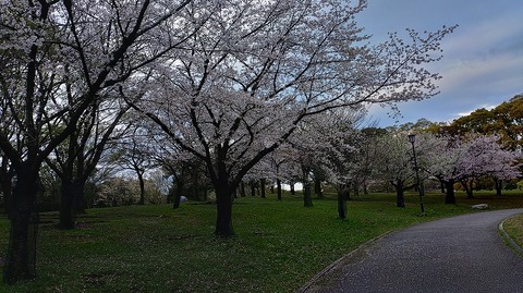 KIMG20260402_064035885