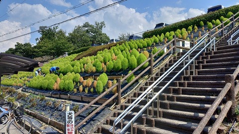 KIMG20260901_140929082