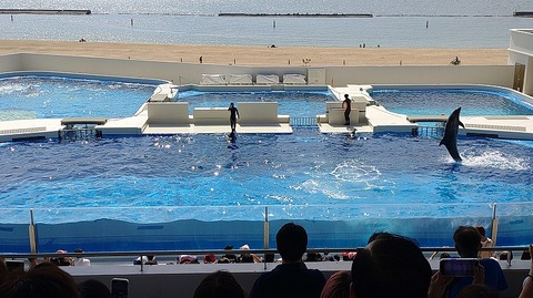 KIMG20251008_110202895