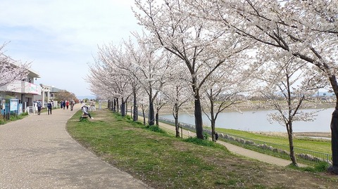 KIMG20260406_104117059