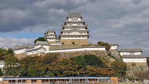 KIMG20251029_124926552