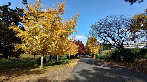 KIMG20251128_124653913