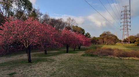 KIMG20260306_070009802