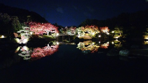 KIMG20251121_180502185