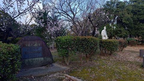 KIMG20260306_065129777