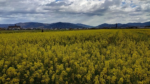 KIMG20260331_104214665