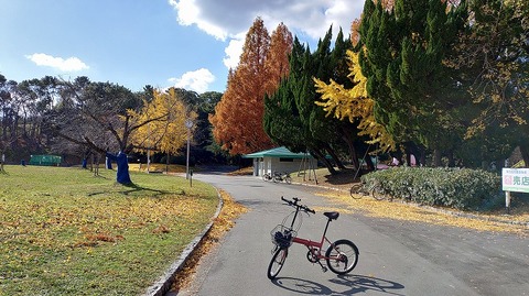 KIMG20251204_130137353