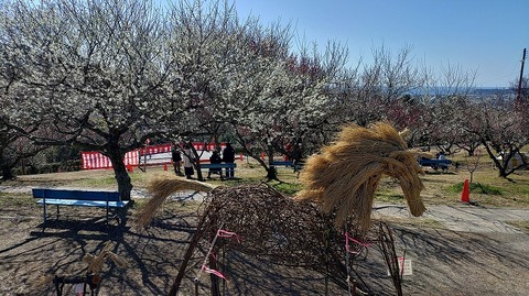 KIMG20260218_124925546