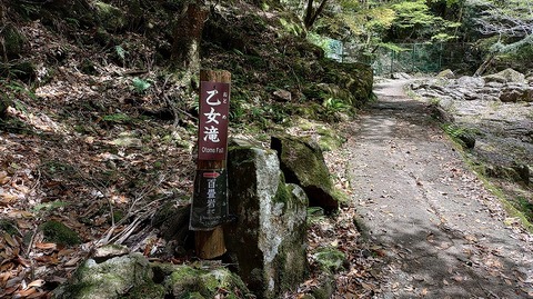 KIMG20260417_121039085