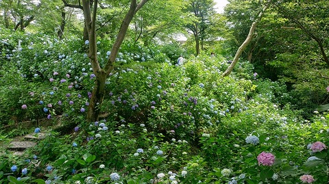 KIMG20260618_101336275