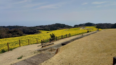 KIMG20260324_115650710