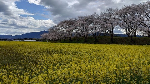 KIMG20260331_104251986