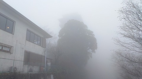 KIMG20260407_104412172