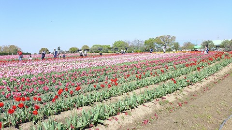 KIMG20260408_095712810