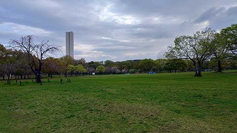 KIMG20260402_064703403