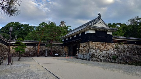 KIMG20260812_063651357