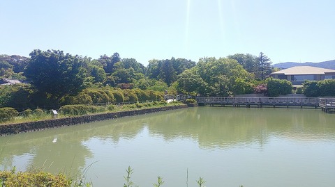 KIMG20260530_140640481