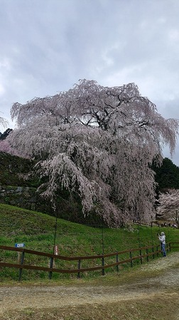 KIMG20260331_112627581