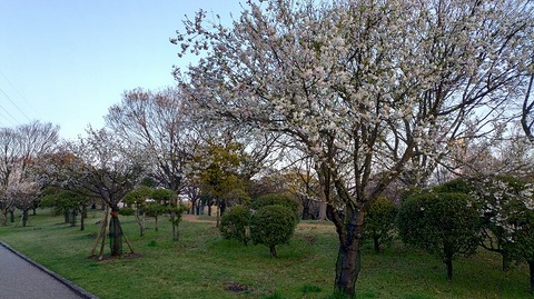 KIMG20260327_060654967