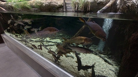 KIMG20251008_104534756