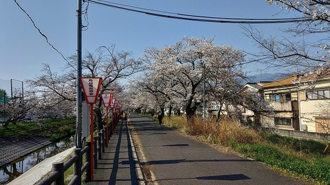 KIMG20260403_084216012