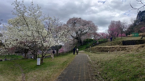 KIMG20260331_113212372