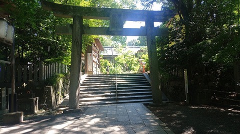 KIMG20260530_135609550