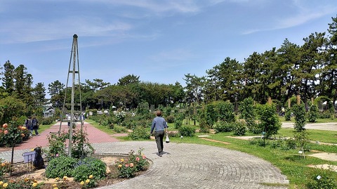 KIMG20260502_105330099
