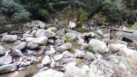 KIMG20251202_125009091