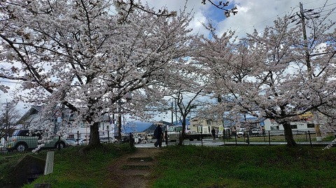 KIMG20260331_103454807