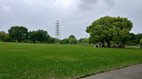 KIMG20260429_121239289