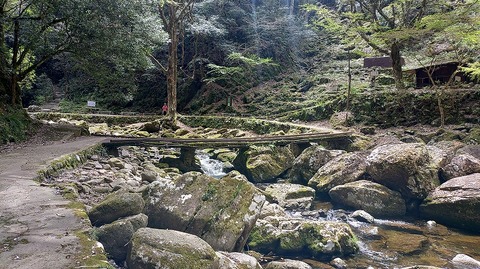 KIMG20260417_120129218