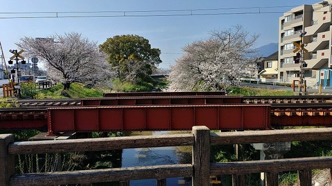 KIMG20260403_084359988