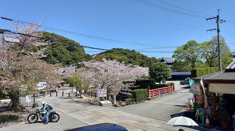 KIMG20260408_105601464