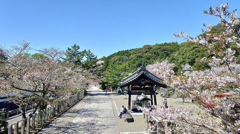 KIMG20260408_104349344