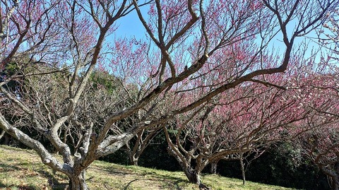 KIMG20260218_125637296