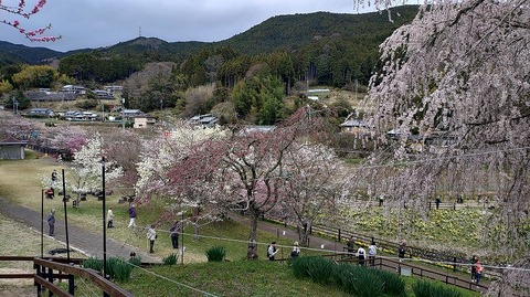 KIMG20260331_113014205